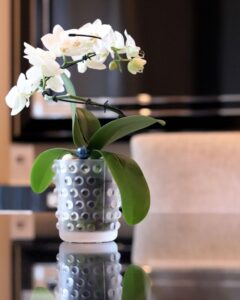 MOSSI vase.